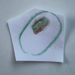 11150693_10205522835006692_2288630104922719060_n