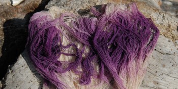 Violetinė iš jūrinių moliuskų mureksų sekreto